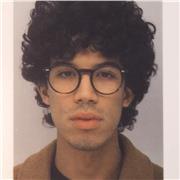 Lezioni di pittura ed estetica (bellezza)